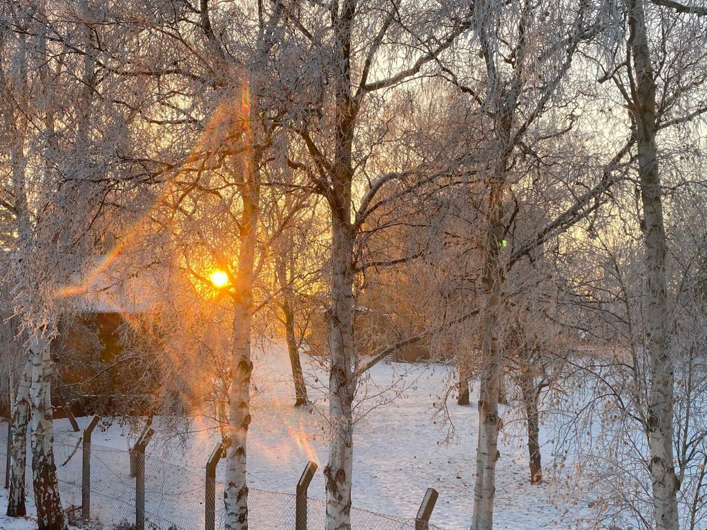 PHOTO 2022 12 21 14 06 32