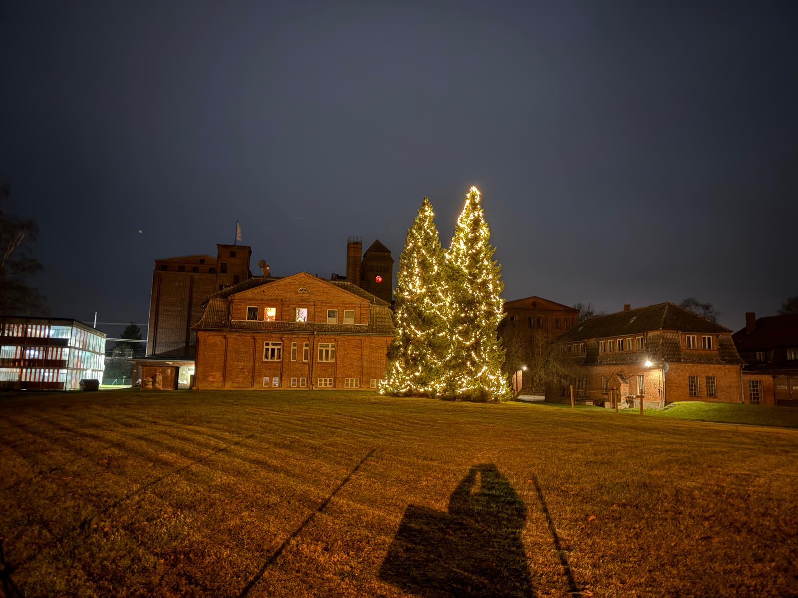 Das Mühlenquartier Bad Kleinen wünscht frohe Weihnachten